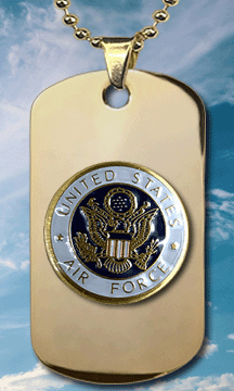 Gold Stainless Steel USAF Insignia