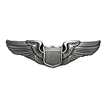 Air Force Pilot Pin