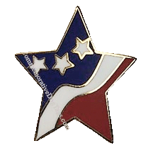 Star with Stripes Pin