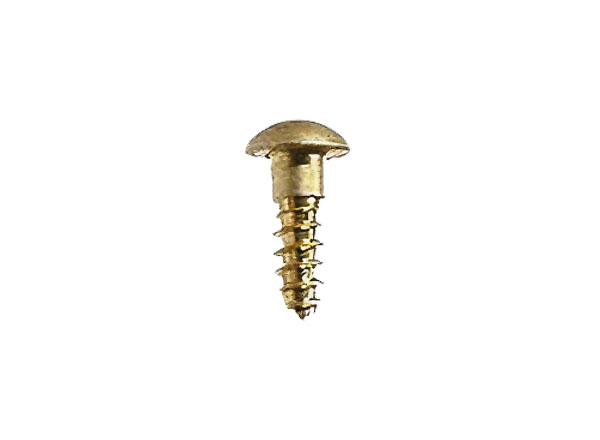 1/4 inch Brass Plaque Screw