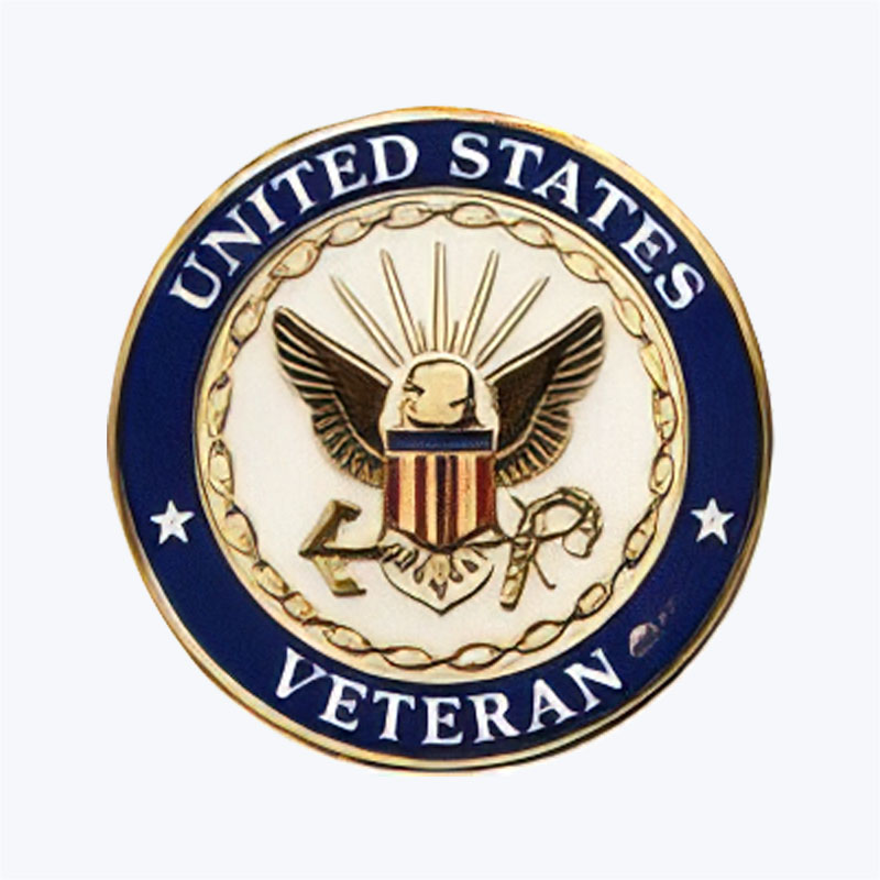 Navy Veteran Lapel Pins