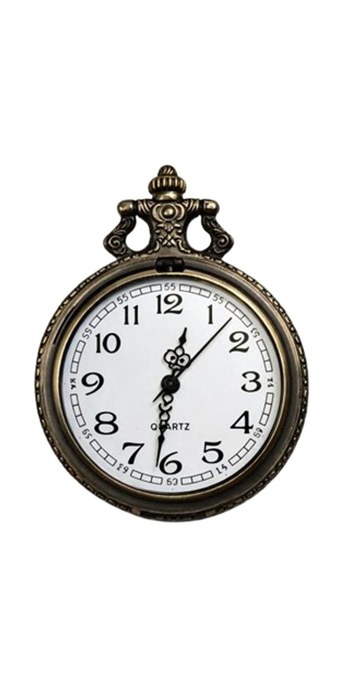 Air Force Pocket Watch - Inside View