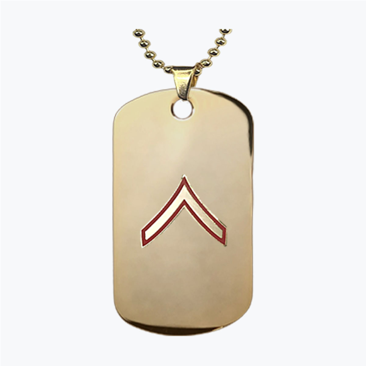 Marine Private E2 PVL Dog Tag